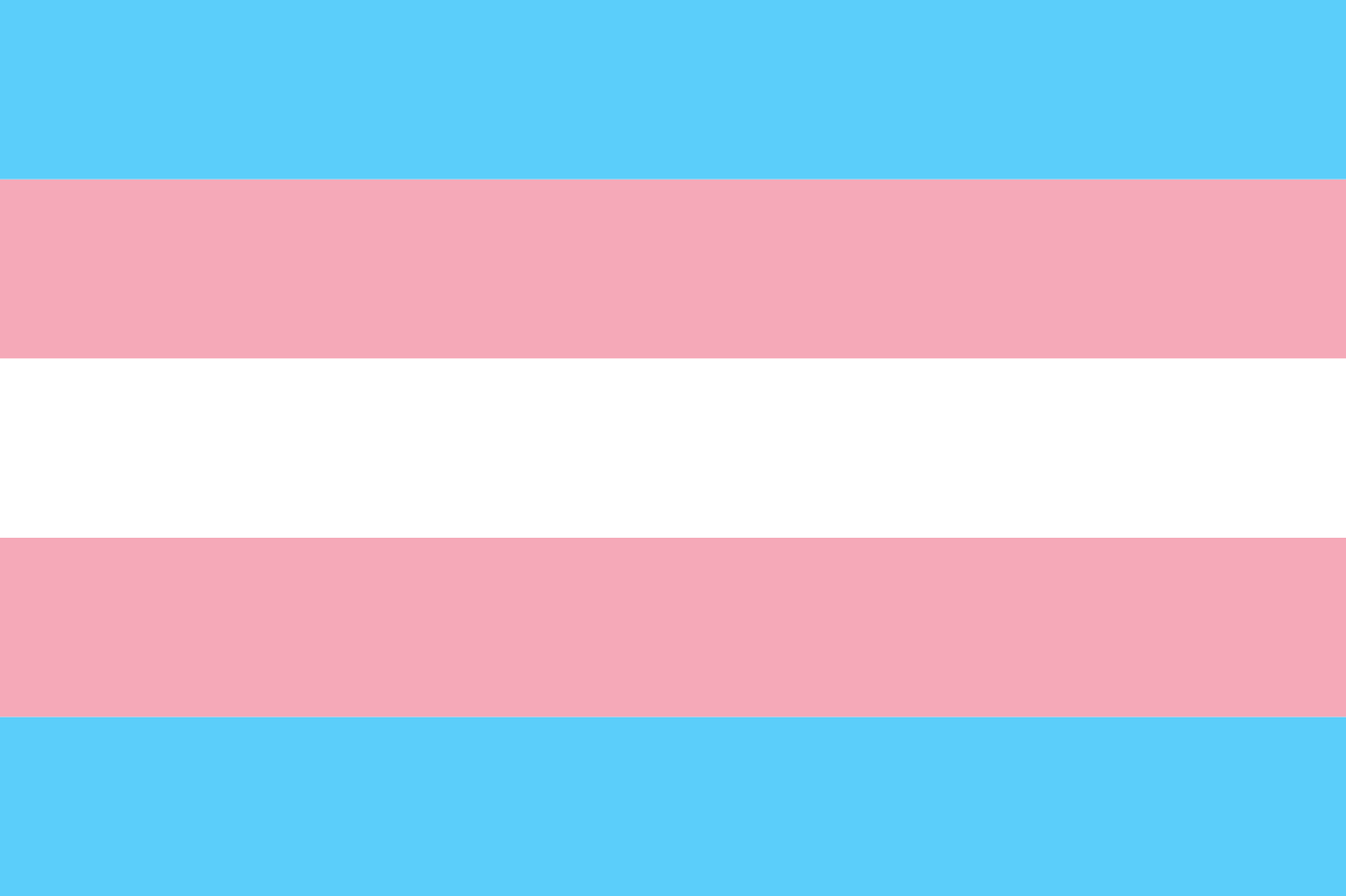 認識跨性別與性別重置手術 transgender